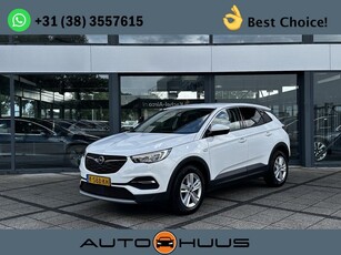 Opel Grandland X 1.5 CDTi Business Exe Navi LED Camera