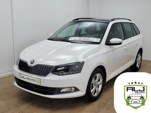 Skoda Fabia Combi Occasion met cruisecontrol en panoramadak