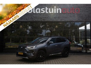 Toyota RAV4 2.5 Hybrid AWD Executive , Trekhaak, Pano