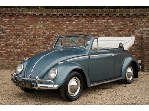 Volkswagen Beetle Kever Convertible Type 1 Well preserved