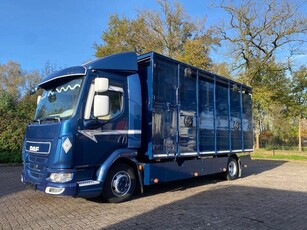 DAF LF 280 Livestock Veewagen 1 stock (bj 2016, automaat)