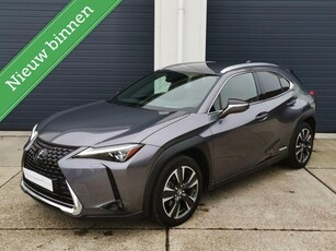 Lexus UX 250h Executive Line Mark-Levinson 360CAM