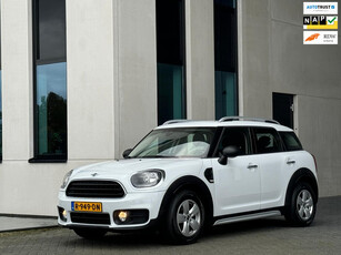 Mini Mini Countryman 1.5 SALT, airco, navigatie, cruisecontrol,dakrails