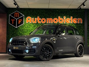 Mini Mini Countryman 2.0 Cooper S E ALL4