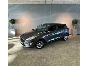 Ford Fiesta 1.0 EcoBoost Titanium - Parkeersenor - Apple