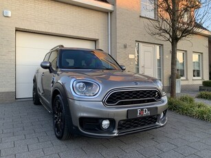 MINI Countryman 2.0 Cooper S E ALL4 Chili Panoramadak