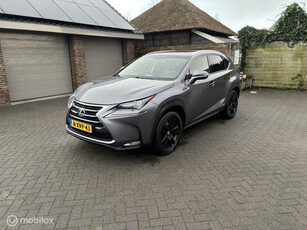 Lexus NX 300h AWD President Line