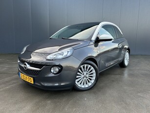 Opel ADAM 1.4 Glam PANO DAK HALF LEER CRUISE ECC (bj 2014)