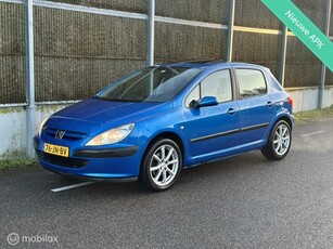 Peugeot 307 1.6-16V Gentry NAPNWEAPKCLIMADAKRAAM