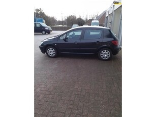 Peugeot 307 1.6-16V XS APK 2026