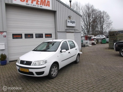 Fiat Punto 1.2 Active 5drs nwe apk!!!