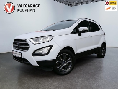 Ford EcoSport Benzine