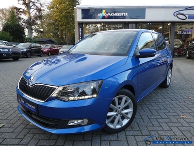 Skoda Fabia Benzine