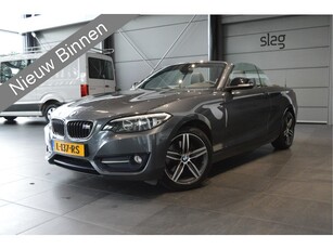 BMW 2 Serie Cabrio 220i Sport navi clima cruise leer pdc 17