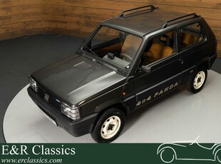 Fiat Panda 4x4 | Gerestaureerd | 1100cc | 1994