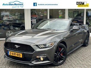 Ford Mustang Convertible 2.3 EcoBoost