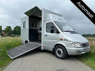 Mercedes-Benz Sprinter 2-paards paardenvrachtwagen Automaat