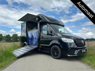 Mercedes-Benz Sprinter 317 AMG 2-paards paardenvrachtwagen