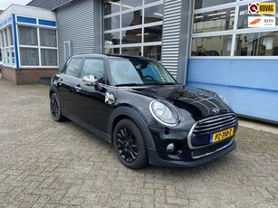 Mini Mini 1.5 Cooper Salt