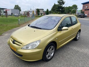 Peugeot 307 AIRCO LEDER / ALCANTARA