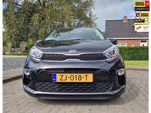 Kia Picanto 1.0 CVVT Design Edition