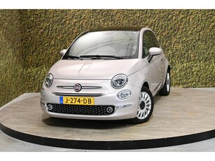 Fiat 500 1.0 Hybr. Star Pink Carplay Cruise NAP