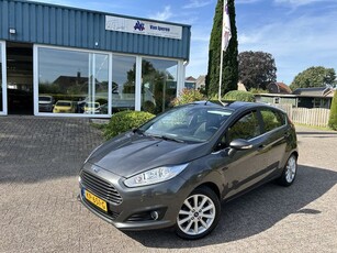 Ford Fiesta 1.0 EcoBoost Titanium (bj 2016)