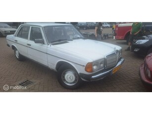 Mercedes W123 220d bj1977 igst