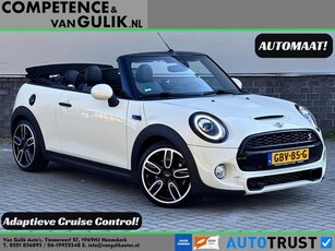 Mini Mini Cabrio 2.0 Cooper S Chili ACC Keyless LED