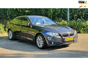 BMW 5-serie 520i Luxury Edition 6WB dig. Teller NAP NL Cam