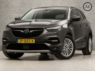 Opel Grandland X 1.2 Turbo Innovation (APPLE CARPLAY, GROOT