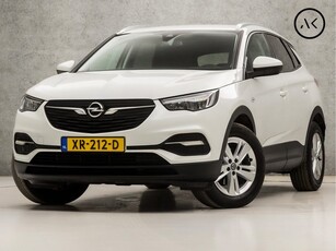 Opel Grandland X 1.2 Turbo Sport (APPLE CARPLAY, GROOT