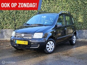 Fiat Panda 1.2 Dynamic Nieuwe APK!