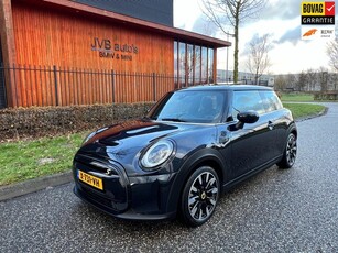 Mini Cooper SE Electric Cooper SE Electric, pano, HUD