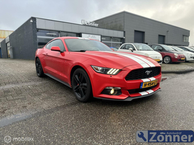 Ford Mustang Fastback 2.3 EcoBoost