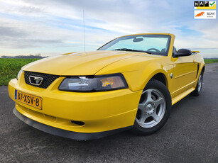 Ford USA Mustang 3.8 V6 Convertible Cabrio