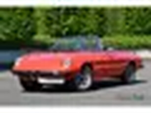 Alfa Romeo 2000 Spider Veloce (bj 1981)