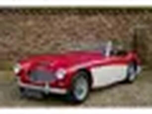 Austin Healey 3000 MK2 Great driver's quality, Partially restored a few years ago by Healey speciali