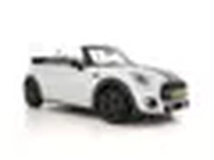 MINI Cabrio 1.5 Cooper Chili Serious Business JCW-Sport-Pack *LEATHER-MICROFIBRE HARMAN/KARDON-AUD