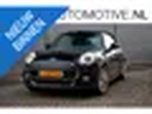 Mini Mini Cabrio 1.5 Cooper Automaat H/K geluidsintallatie, 17