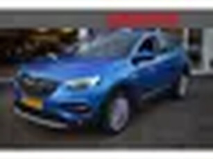 Opel Grandland X 1.2 Turbo Business Executive (bj 2020)