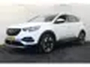 Opel Grandland X 1.2 Turbo Business Executive TrekhaakNaviElek klep