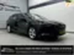 Opel Insignia Sports Tourer 1.5 Turbo 165PK Business Executive - Pano - Camera - Trekhaak - Leer - S