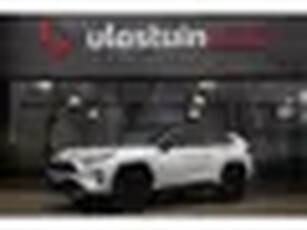 Toyota RAV4 2.5 Hybrid Style , Adap. cruise, JBL,