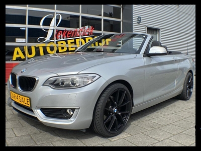 BMW 2-serie Cabrio 220i Executive - Navigatie I Airco I PDC I 1/2 Leer I 