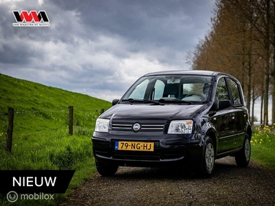 Fiat Panda 1.2 Dynamic | Nap | Elek ramen | Stuurbekr