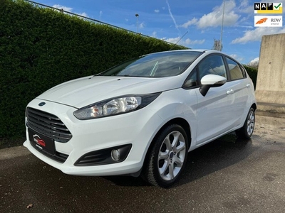 Ford Fiesta 1.0 EcoBoost Trend 5DRS AIRCO ALU VELG