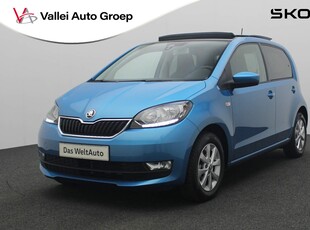 2019 Škoda Citigo