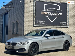 BMW 428i Gran Coupé M Pakket M Sport Line Pano High