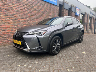 Lexus UX 250h Amazing Edition Camera PDC Carplay